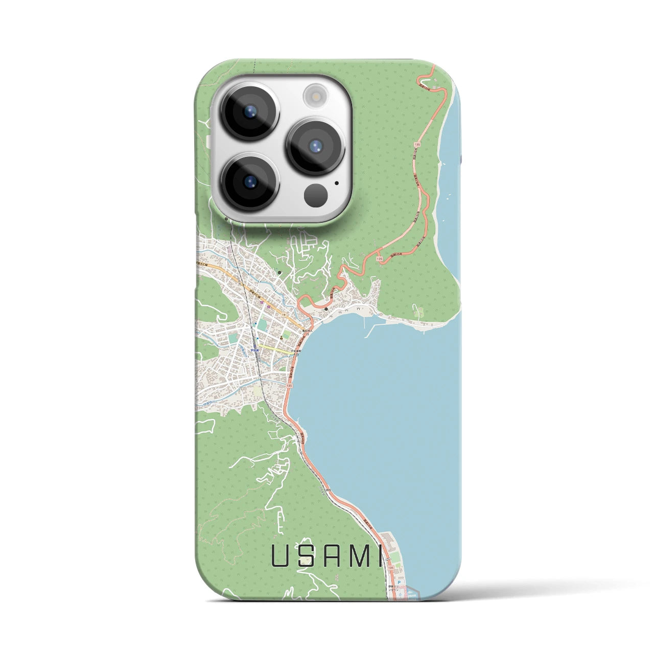 【宇佐美】地図柄iPhoneケース（バックカバータイプ・ナチュラル）iPhone 14 Pro 用