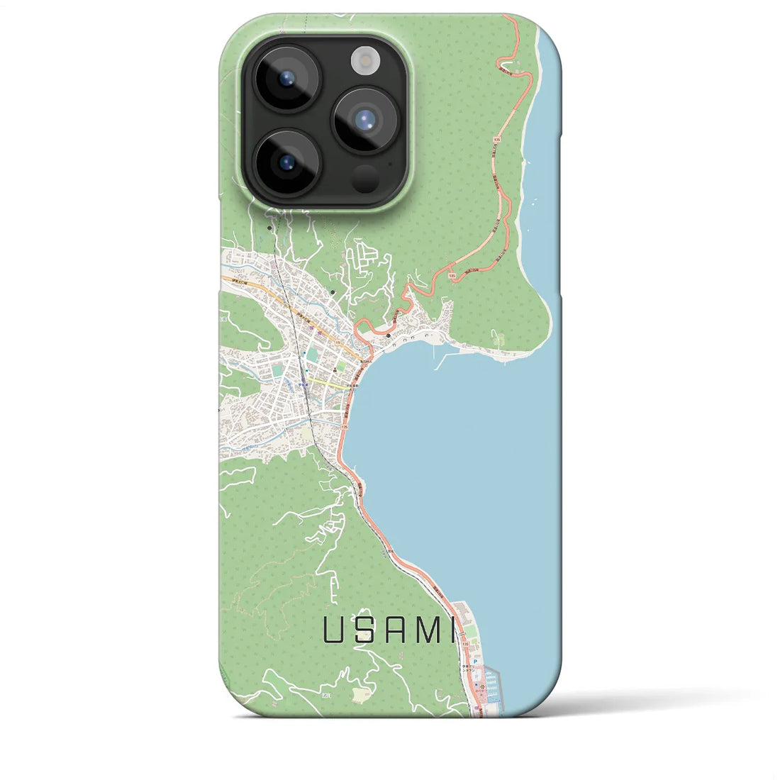 【宇佐美】地図柄iPhoneケース（バックカバータイプ・ナチュラル）iPhone 15 Pro Max 用