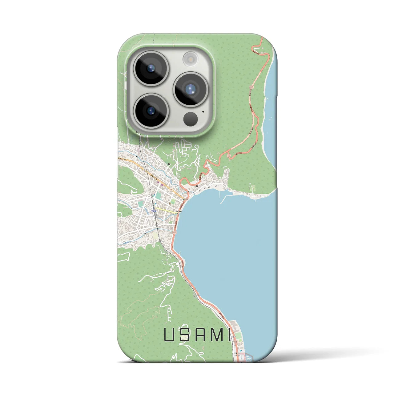 【宇佐美】地図柄iPhoneケース（バックカバータイプ・ナチュラル）iPhone 15 Pro 用