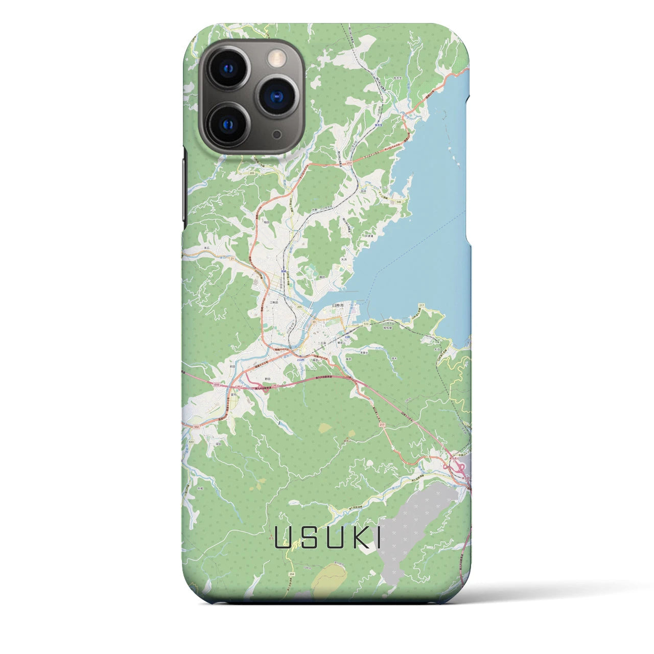 【臼杵】地図柄iPhoneケース（バックカバータイプ・ナチュラル）iPhone 11 Pro Max 用