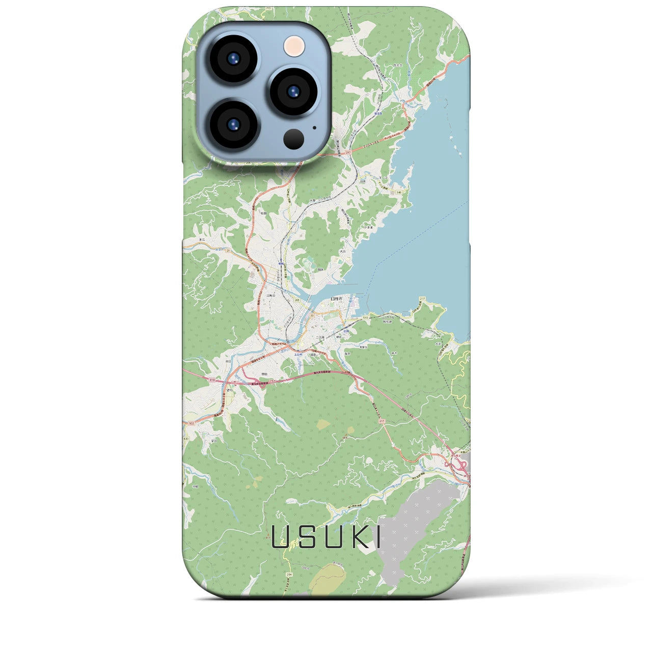 【臼杵】地図柄iPhoneケース（バックカバータイプ・ナチュラル）iPhone 13 Pro Max 用