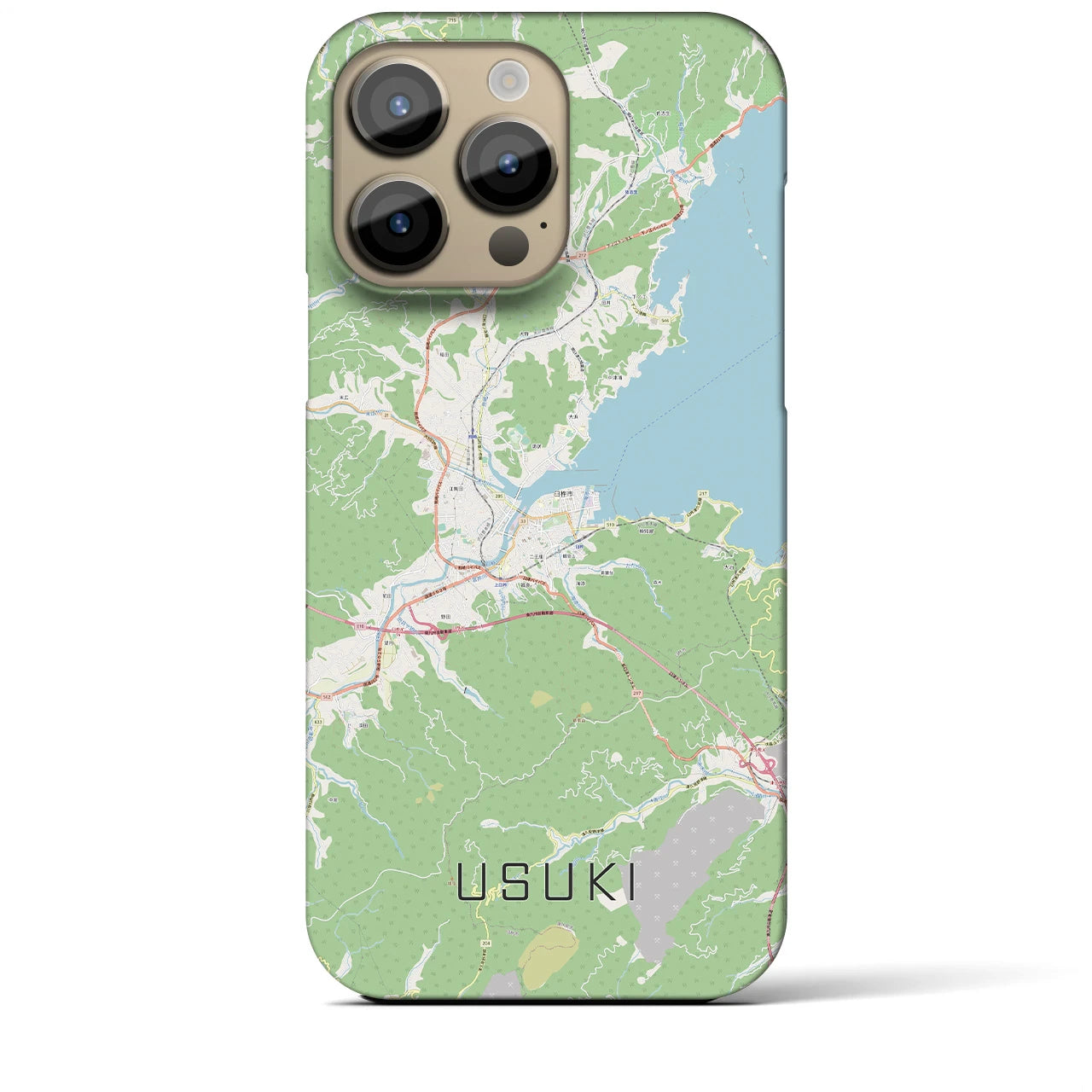 【臼杵】地図柄iPhoneケース（バックカバータイプ・ナチュラル）iPhone 14 Pro Max 用