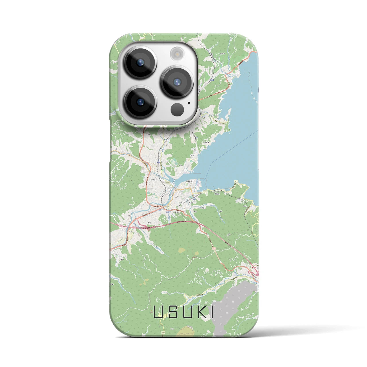 【臼杵】地図柄iPhoneケース（バックカバータイプ・ナチュラル）iPhone 14 Pro 用