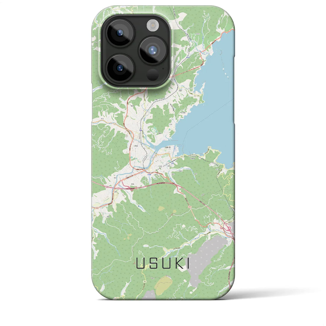 【臼杵】地図柄iPhoneケース（バックカバータイプ・ナチュラル）iPhone 15 Pro Max 用
