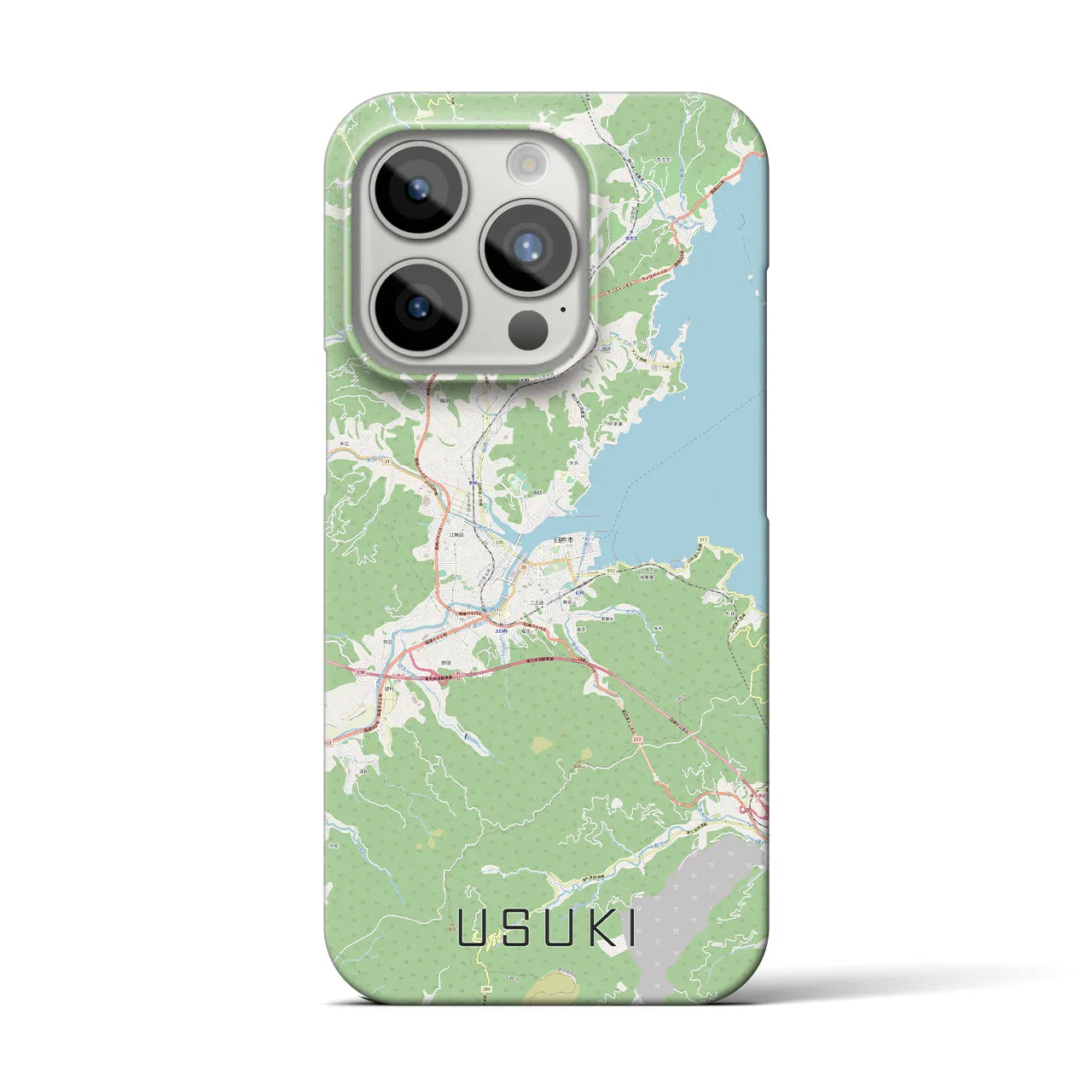 【臼杵】地図柄iPhoneケース（バックカバータイプ・ナチュラル）iPhone 15 Pro 用