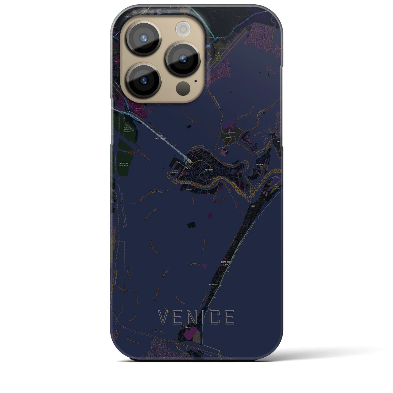 【ヴェネツィア】地図柄iPhoneケース（バックカバータイプ・ブラック）iPhone 14 Pro Max 用
