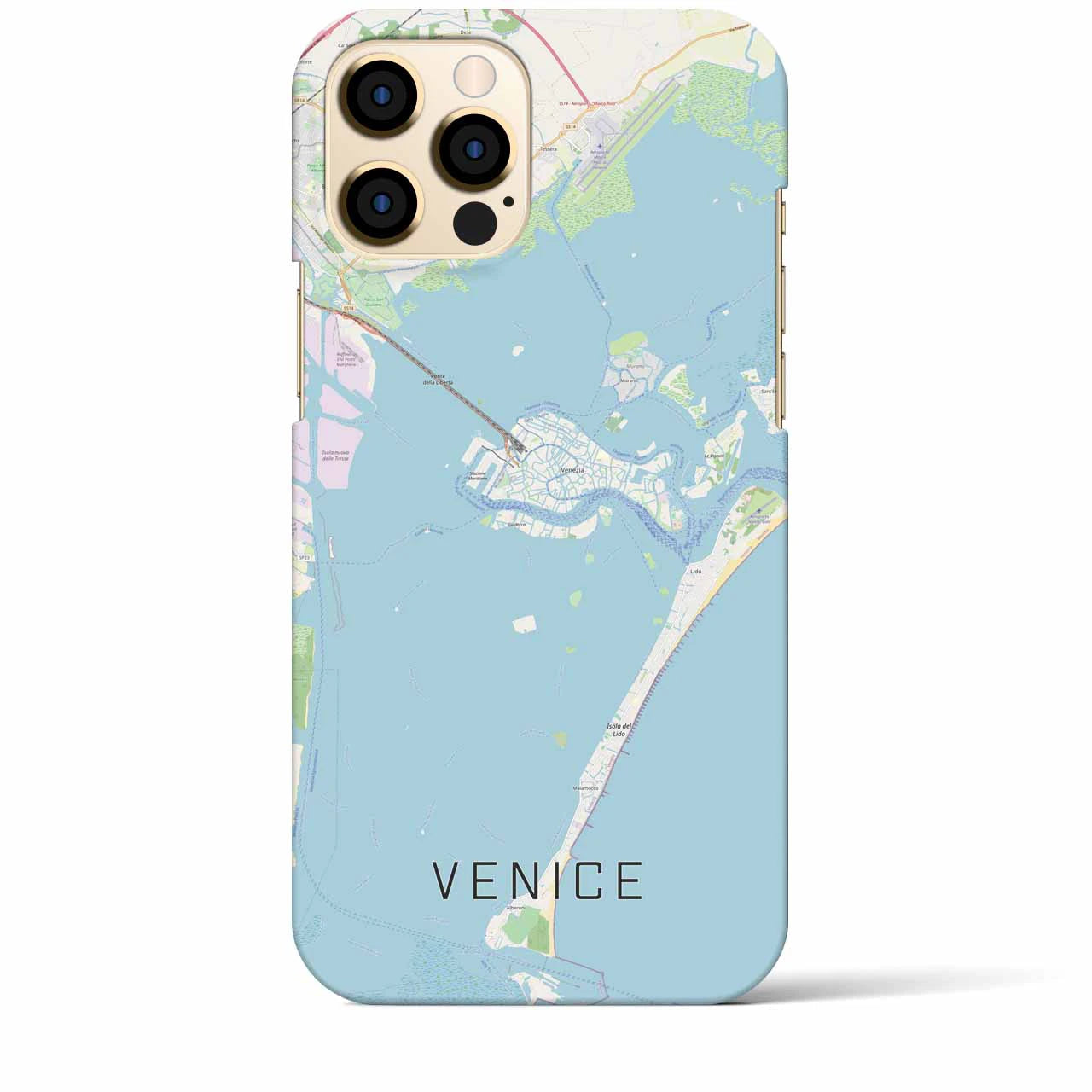 【ヴェネツィア】地図柄iPhoneケース（バックカバータイプ・ナチュラル）iPhone 12 Pro Max 用