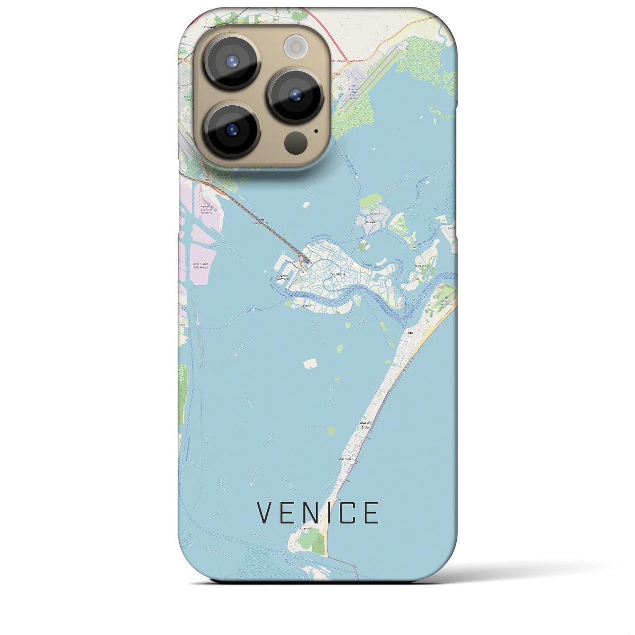 【ヴェネツィア】地図柄iPhoneケース（バックカバータイプ・ナチュラル）iPhone 14 Pro Max 用